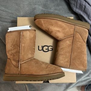 Uggs Classic Short II, Chestnut